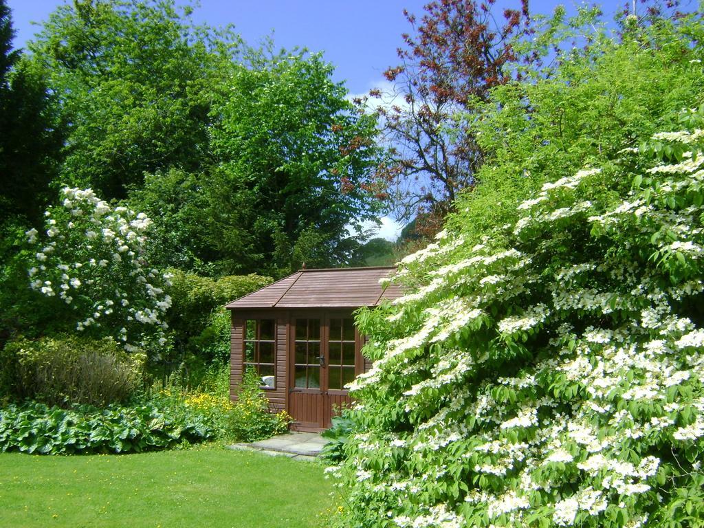 The Forest Country House B&B Newtown  Exterior photo